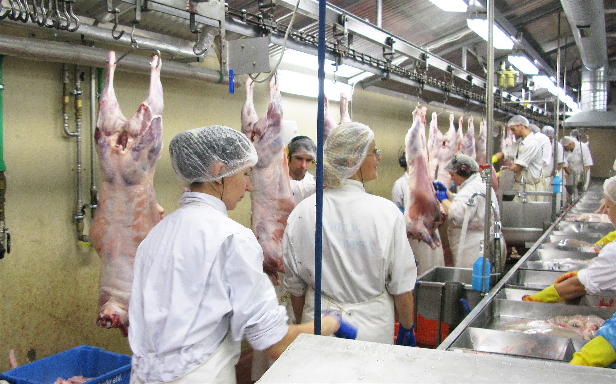 Kjarnafæði selur 200 tonn af halalslátruðu lambakjöti til Noregs