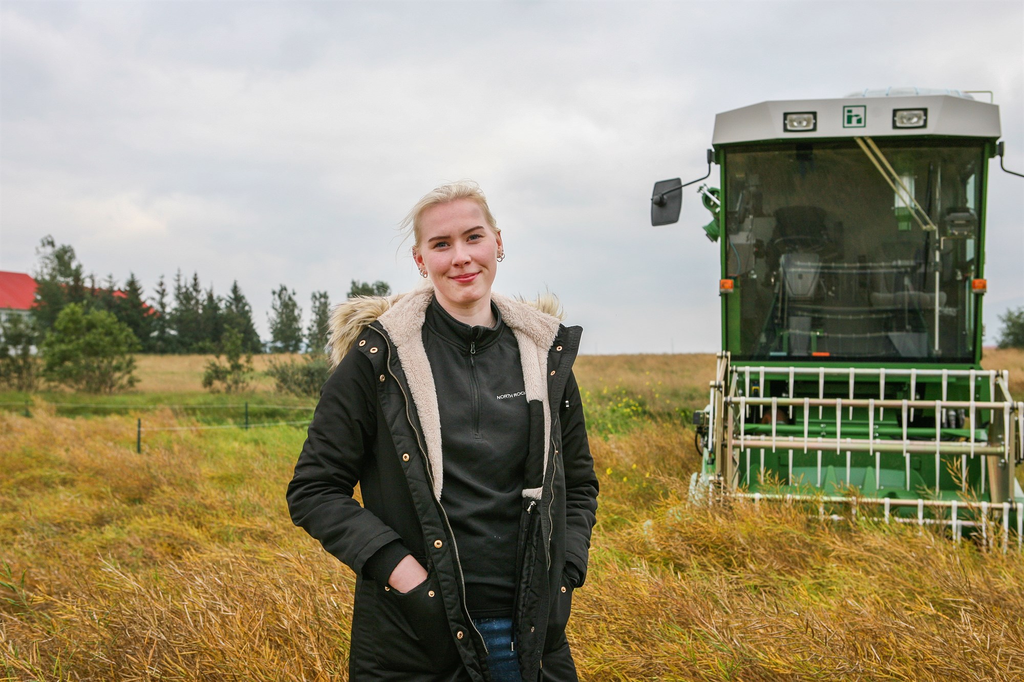 Orkujurtir til olíuræktunar