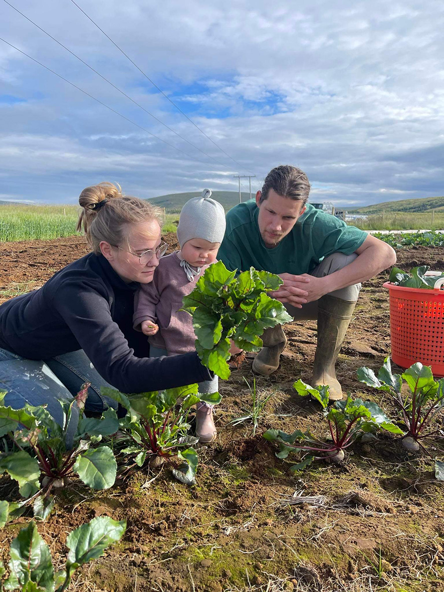 Ungir garðyrkjubændur í Þingeyjarsveit með margar tegundir í útiræktun