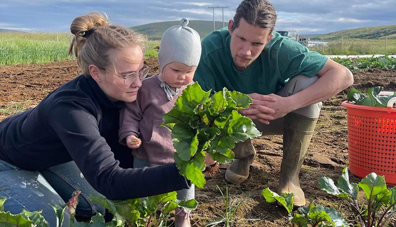 Ungir garðyrkjubændur í Þingeyjarsveit með margar tegundir í útiræktun