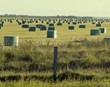 Umsögn um byggðastefnu lokið