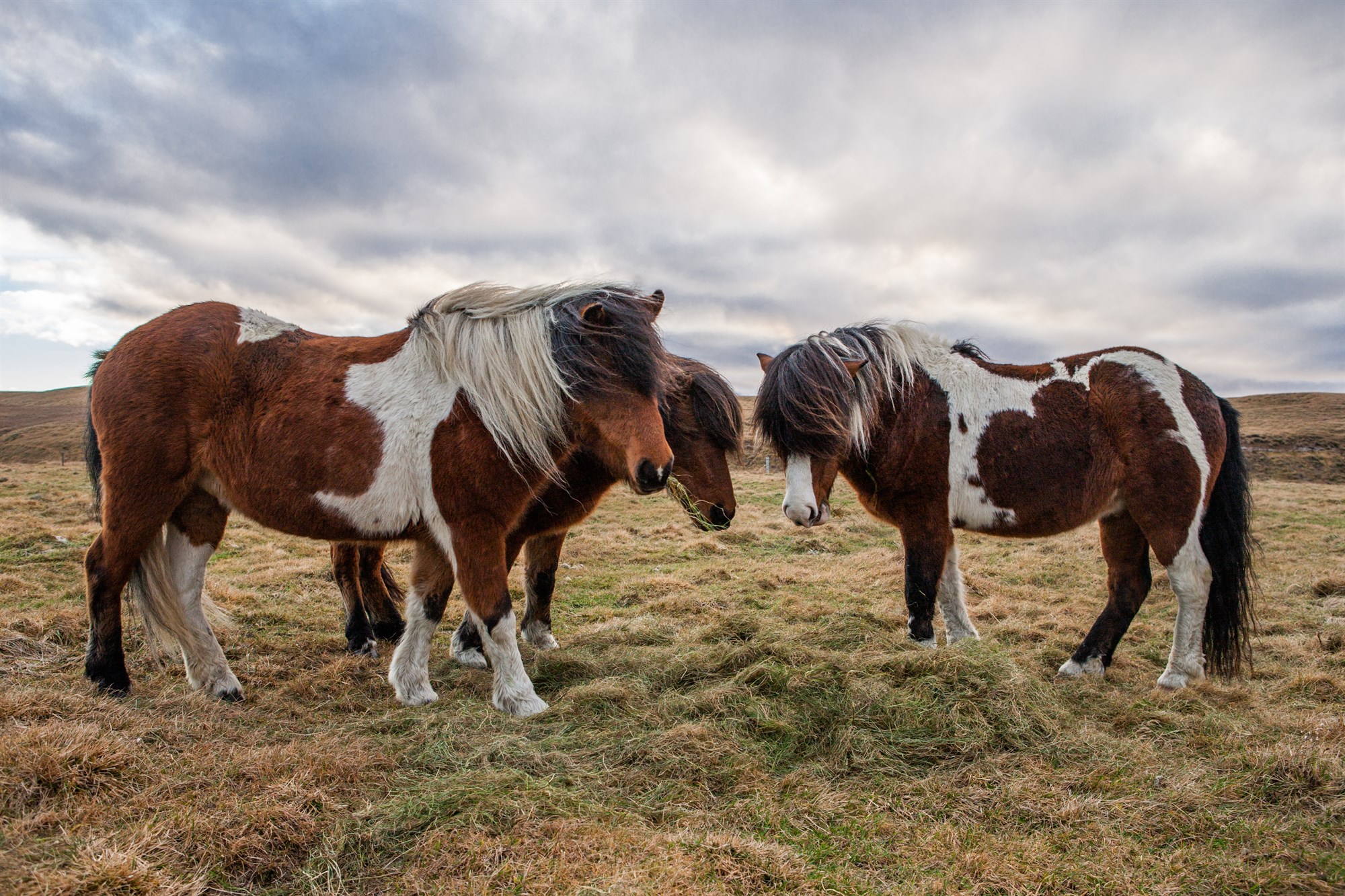 Einangruð í sjötíu ár