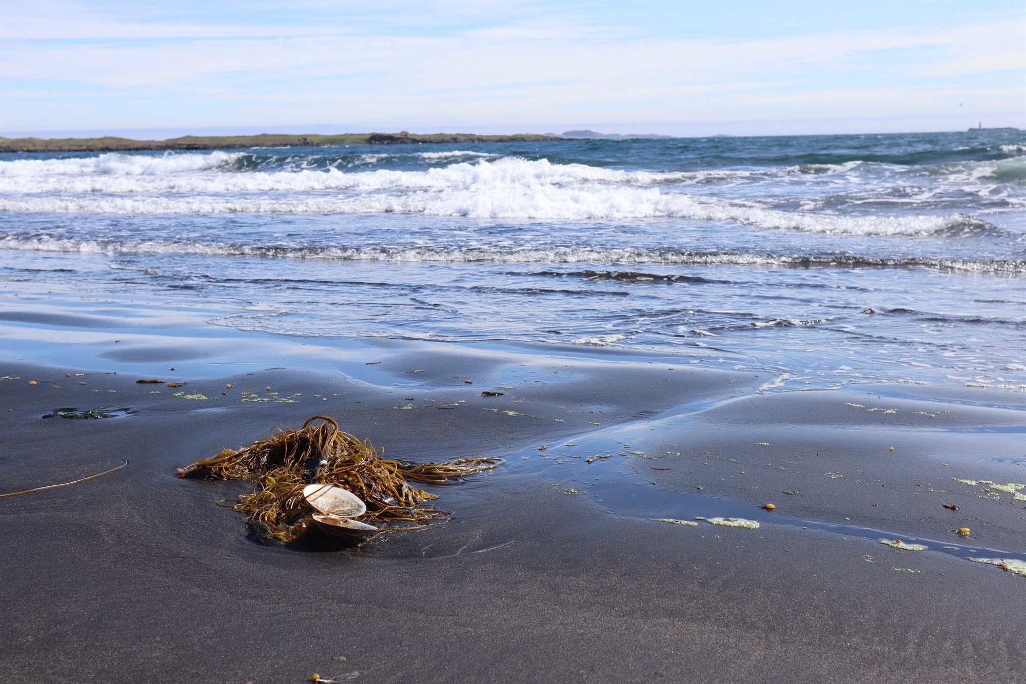 Öldutal við Íslandsstrendur