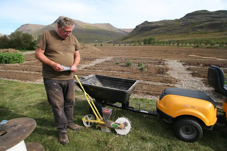 Haraldur Guðjónsson, hvítlauksbóndi í Dölunum.