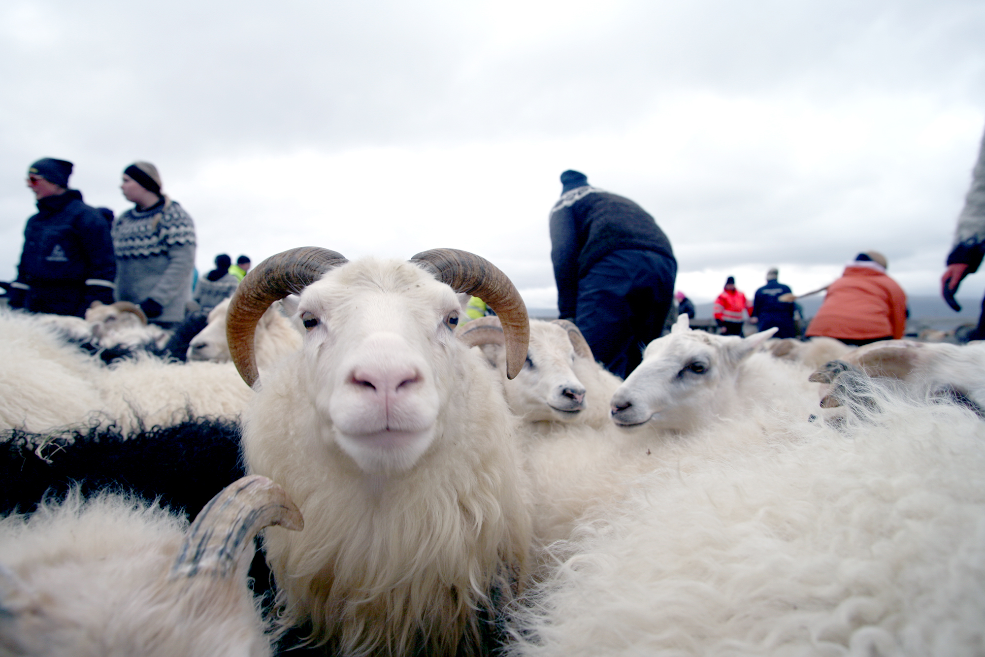Vinnuhópur vegna áhrifa illviðrisins