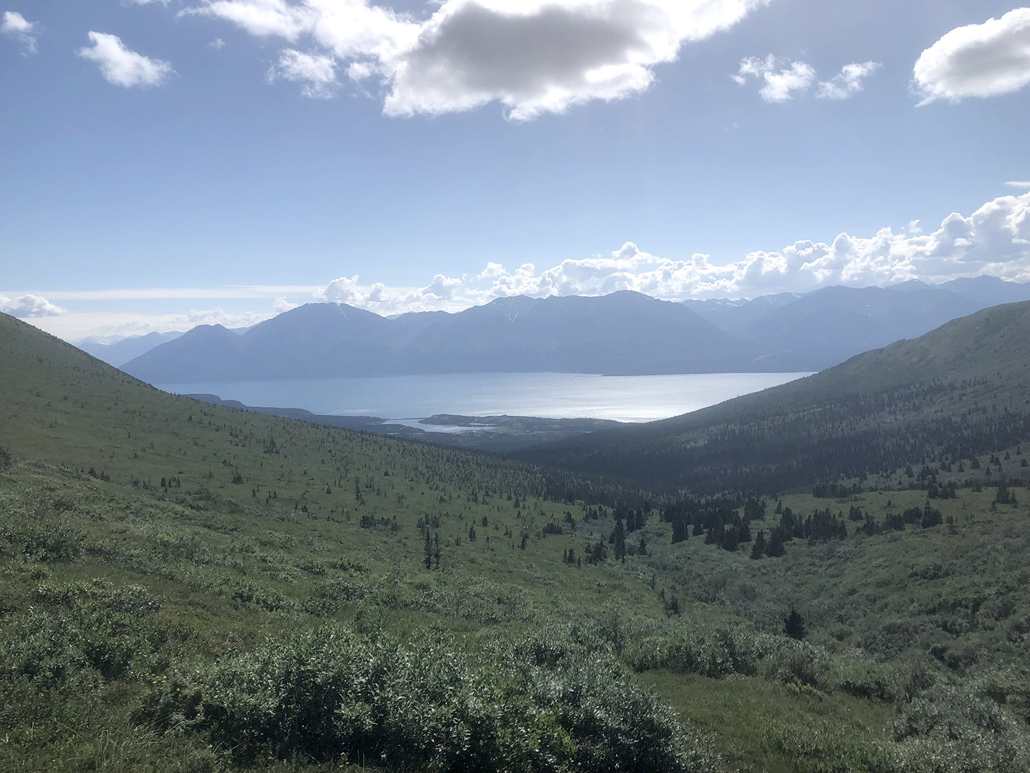 Norrænt vísindanet um áhrif loftslagsbreytinga