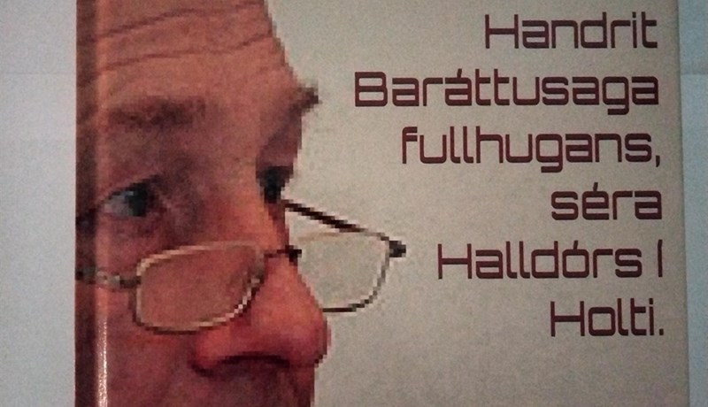 Baráttusaga fullhugans séra Halldórs í Holti