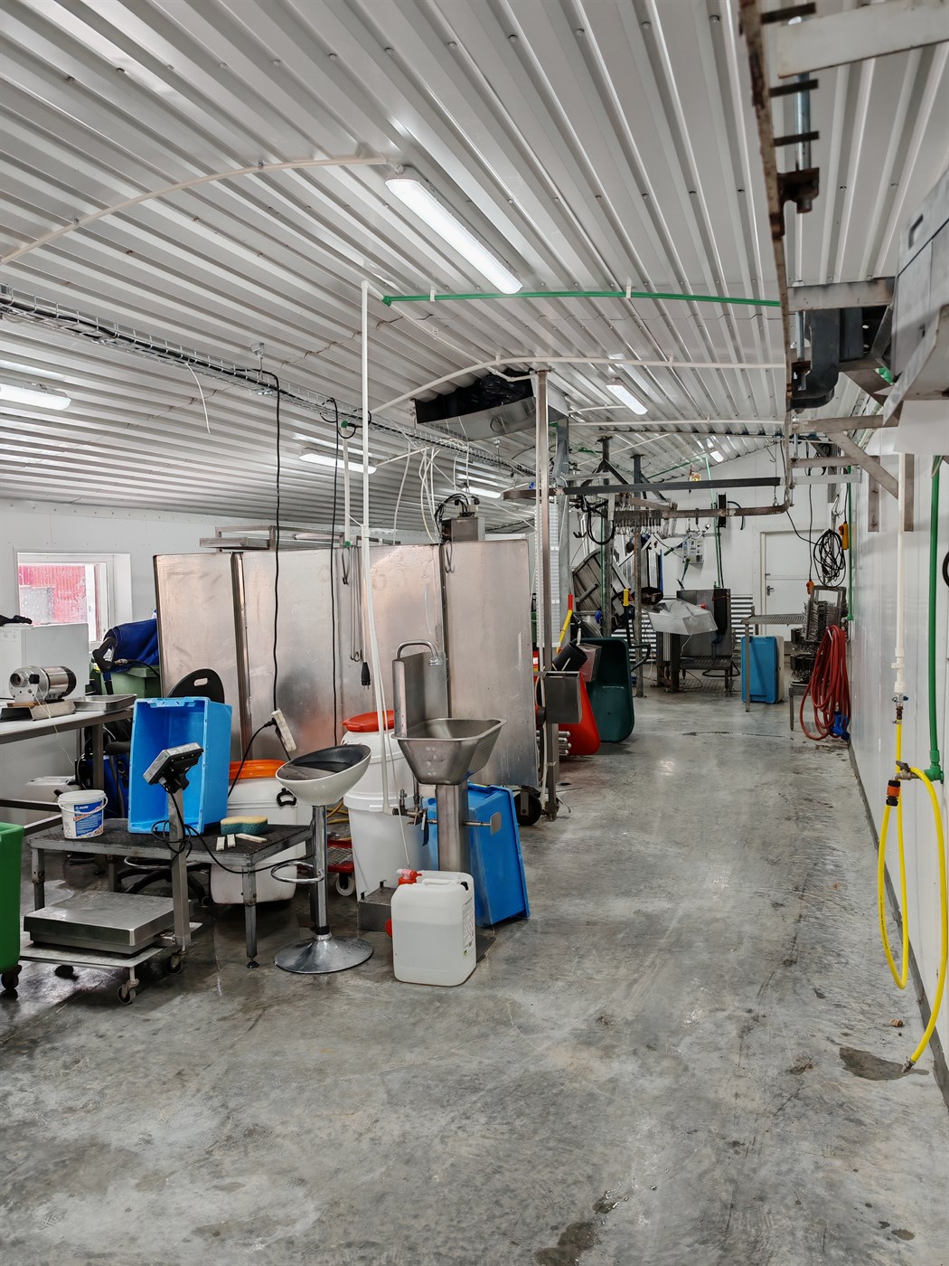 Áforma 40% aukningu í slátrun í haust