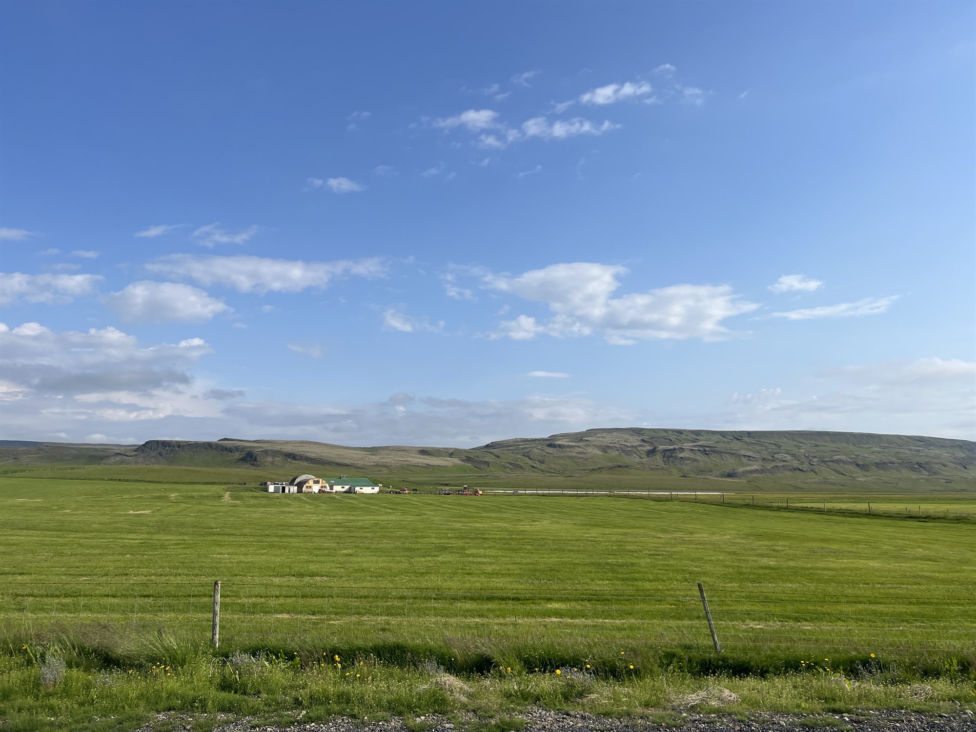 Léttleikandi sumarstemning