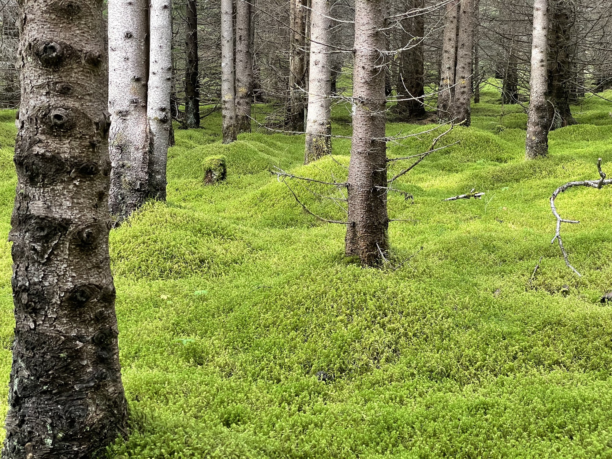Sex milljóna markinu náð