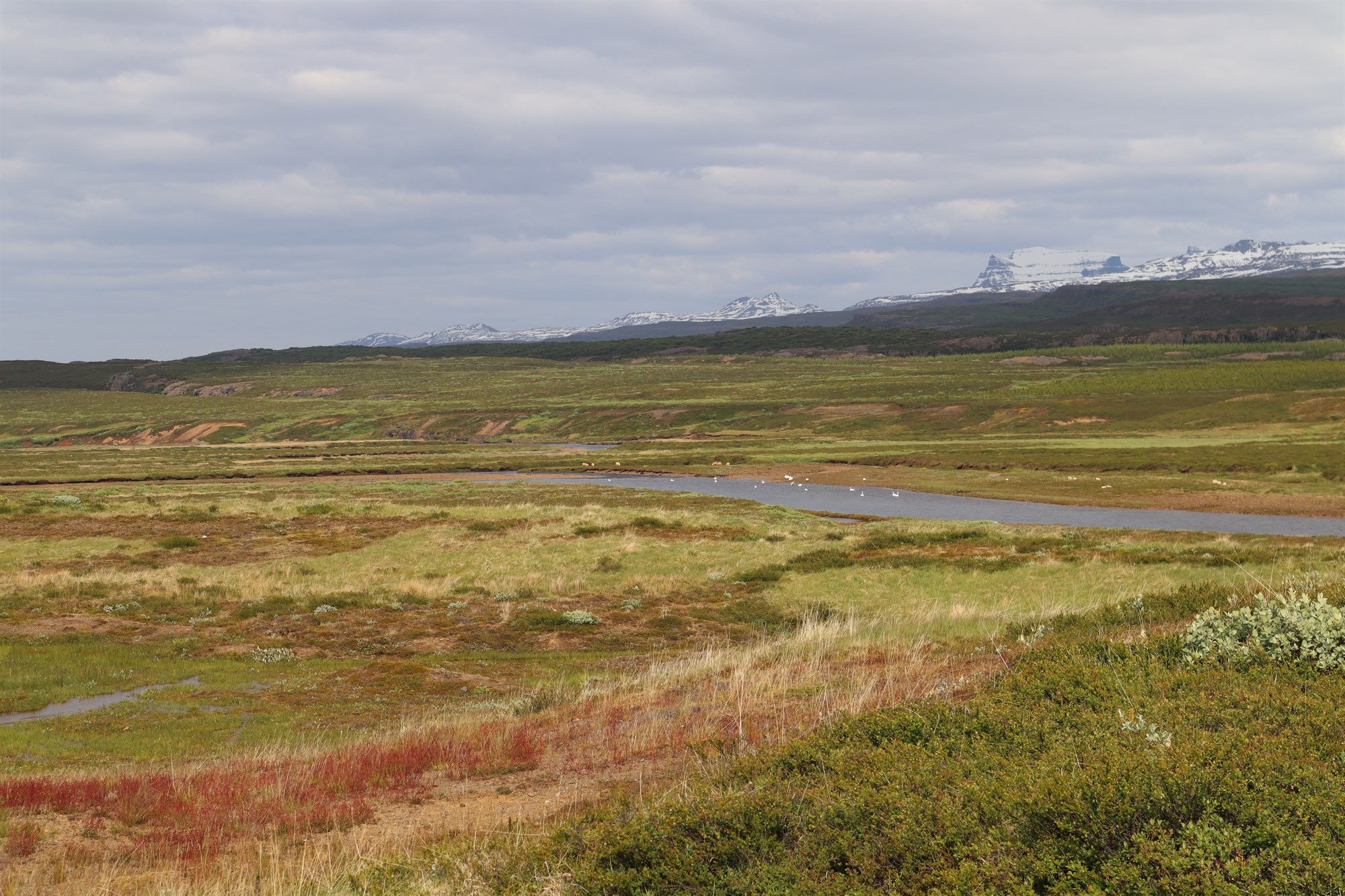 Ný stefna um líffræðilega fjölbreytni