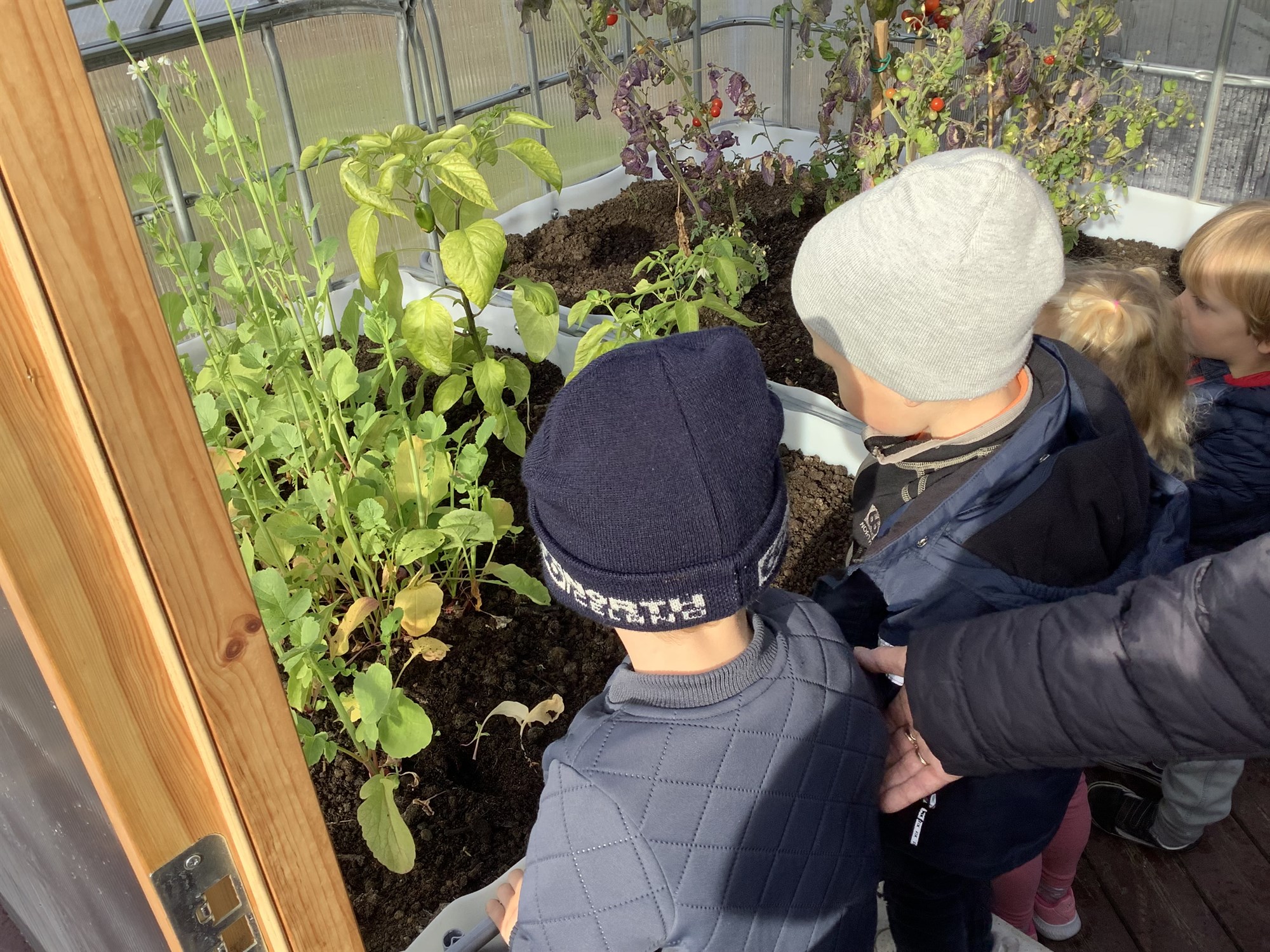 Gróðurhús í grænum skólum