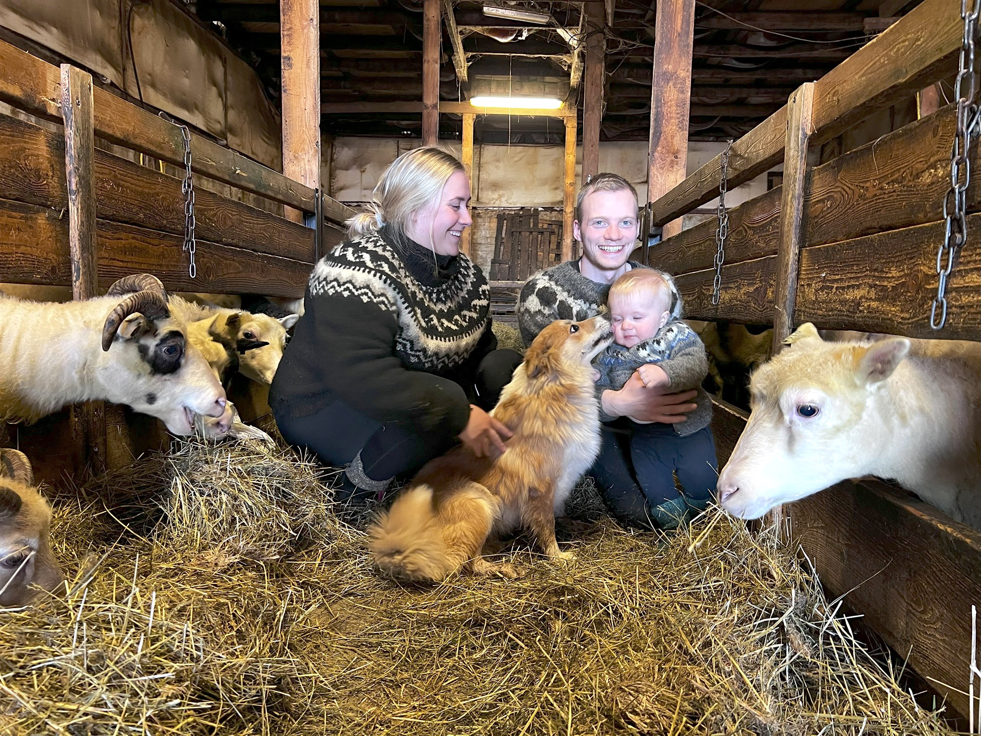 Íslenskur landbúnaður á tímamótum