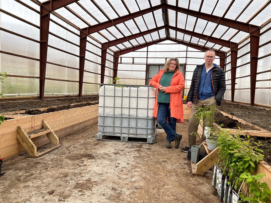 Fyrir ári síðan voru þau Svanhildur og Gunnar að taka fyrstu plönturnar inn í húsið.