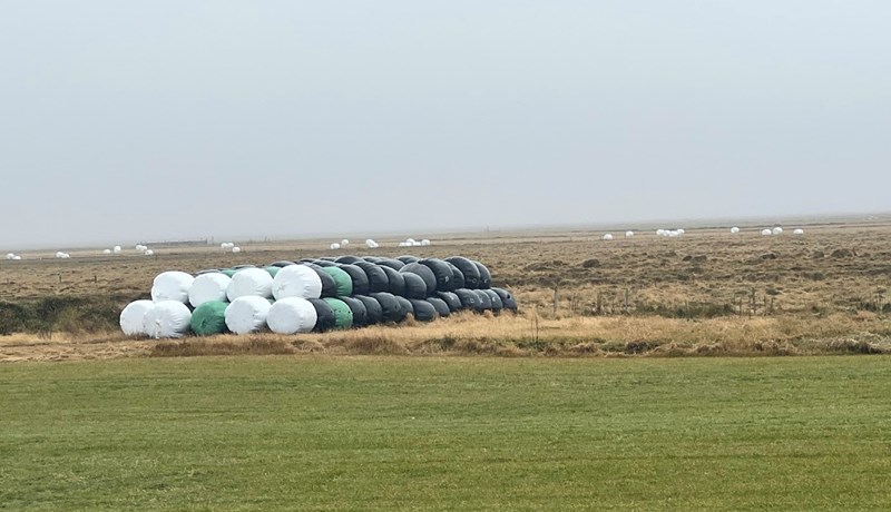 Frumniðurstöður heyefnagreininga 2024