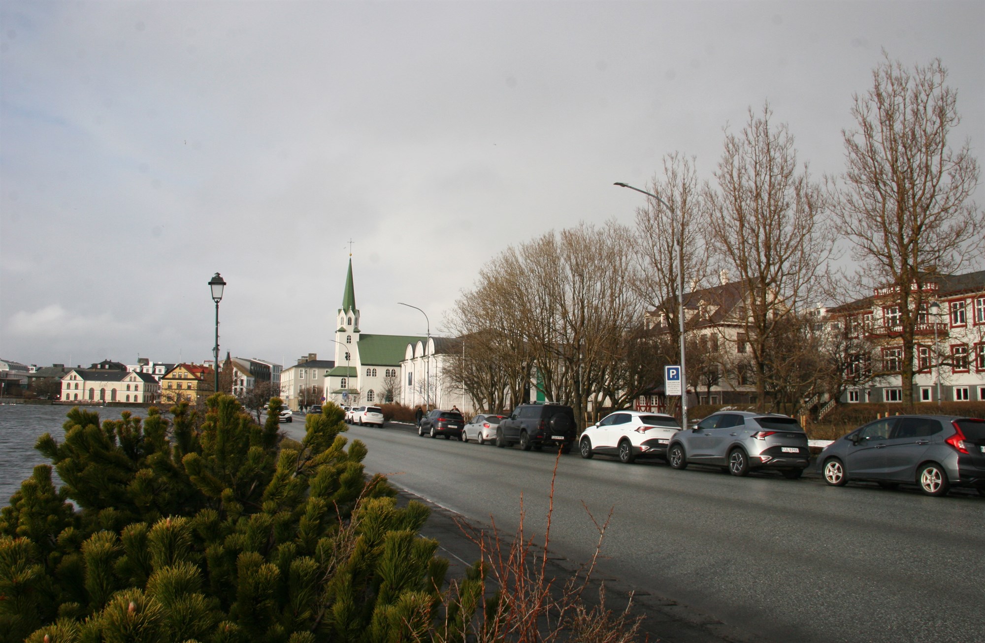 Virði trjáa í þéttbýli