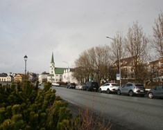 Virði trjáa í þéttbýli