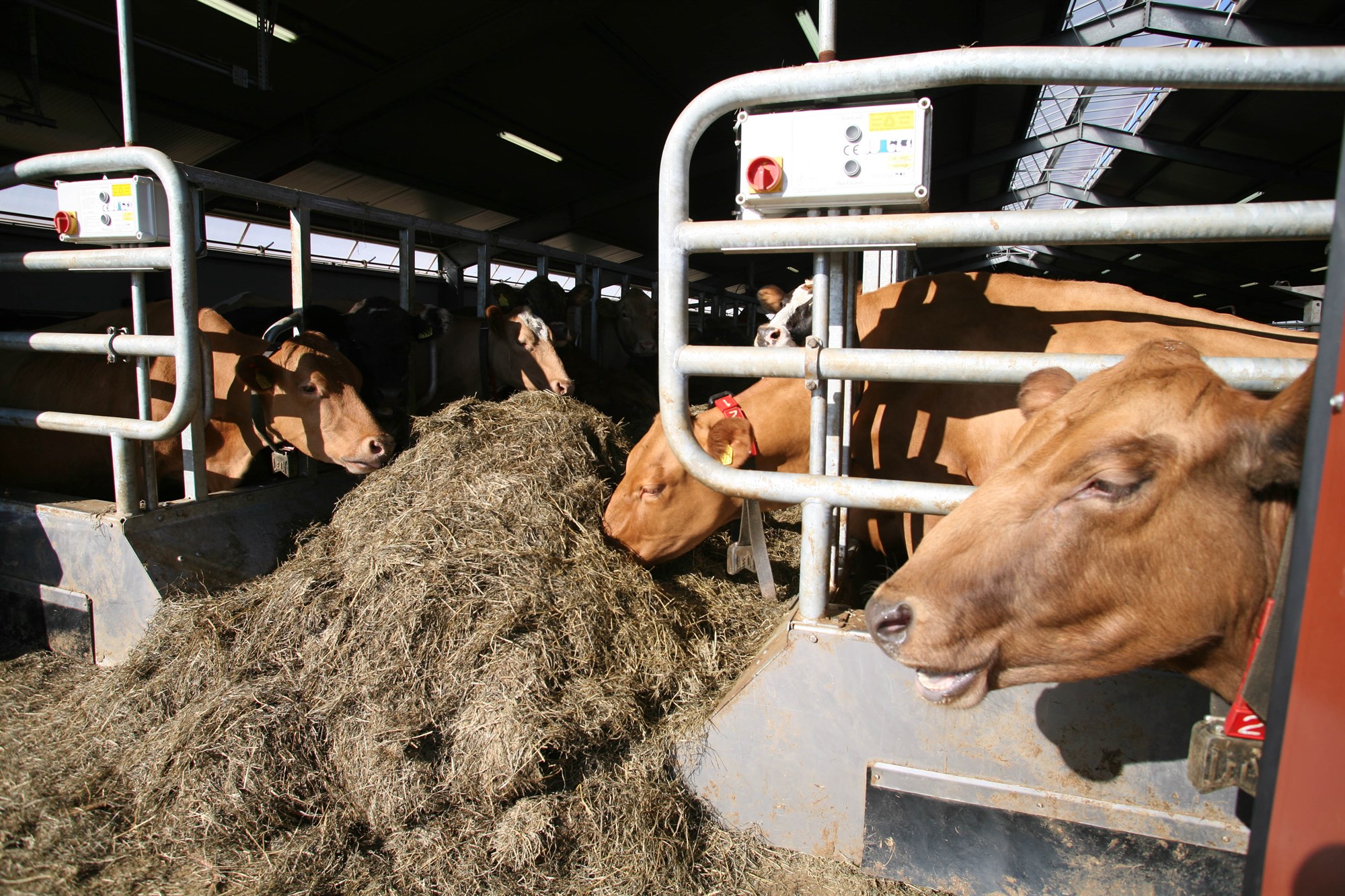 Metfjöldi umsókna um nýliðunarstuðning