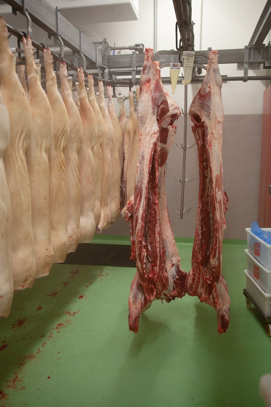 Matvælaráðuneytið fór ekki í sjálfstæðar túlkanir á hinum nýja lagatexta í svari sínu um framleiðendafélögin