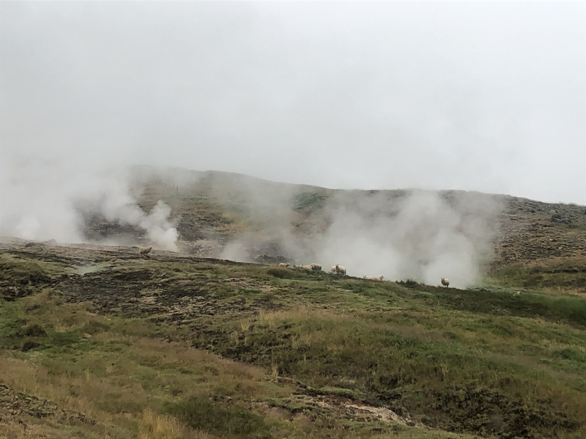 Ætlunin að jafna leikinn