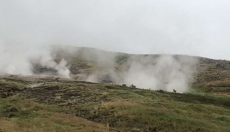 Ætlunin að jafna leikinn