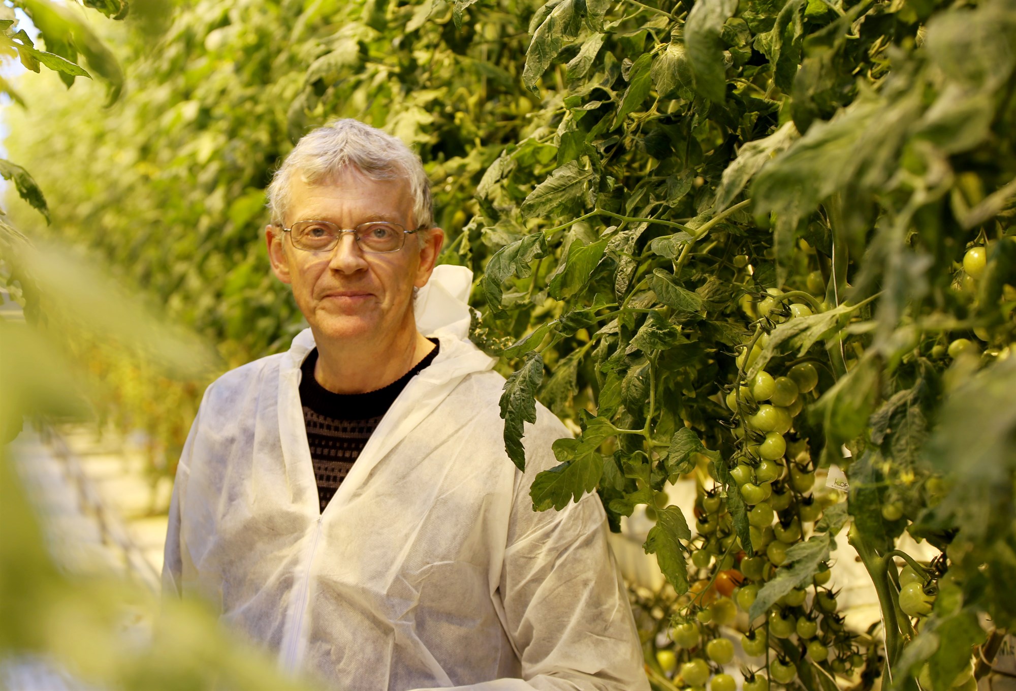 Meiri uppskera af gulrótum og kartöflum en minna af rauðkáli