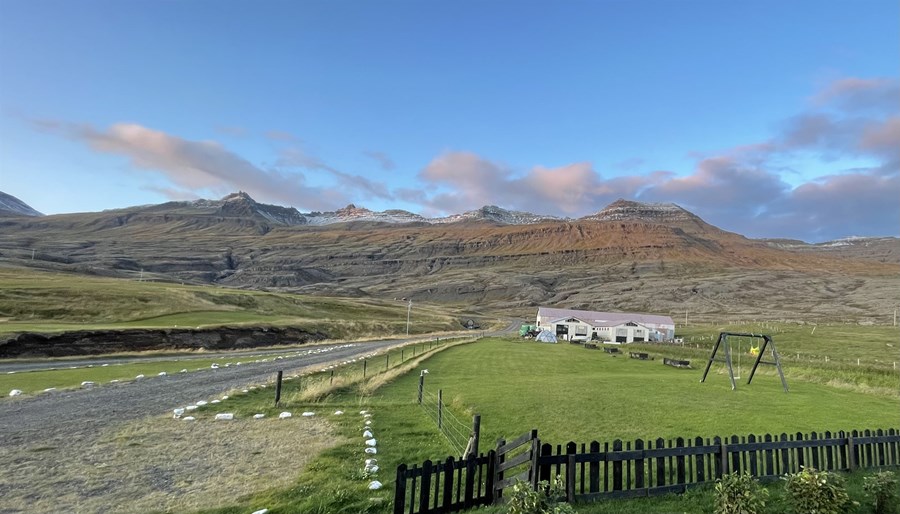 Frá því við fluttum í Gautavík hafa sex til átta smalar gengið þetta svæði og smalað, ásamt einum stjórnanda.