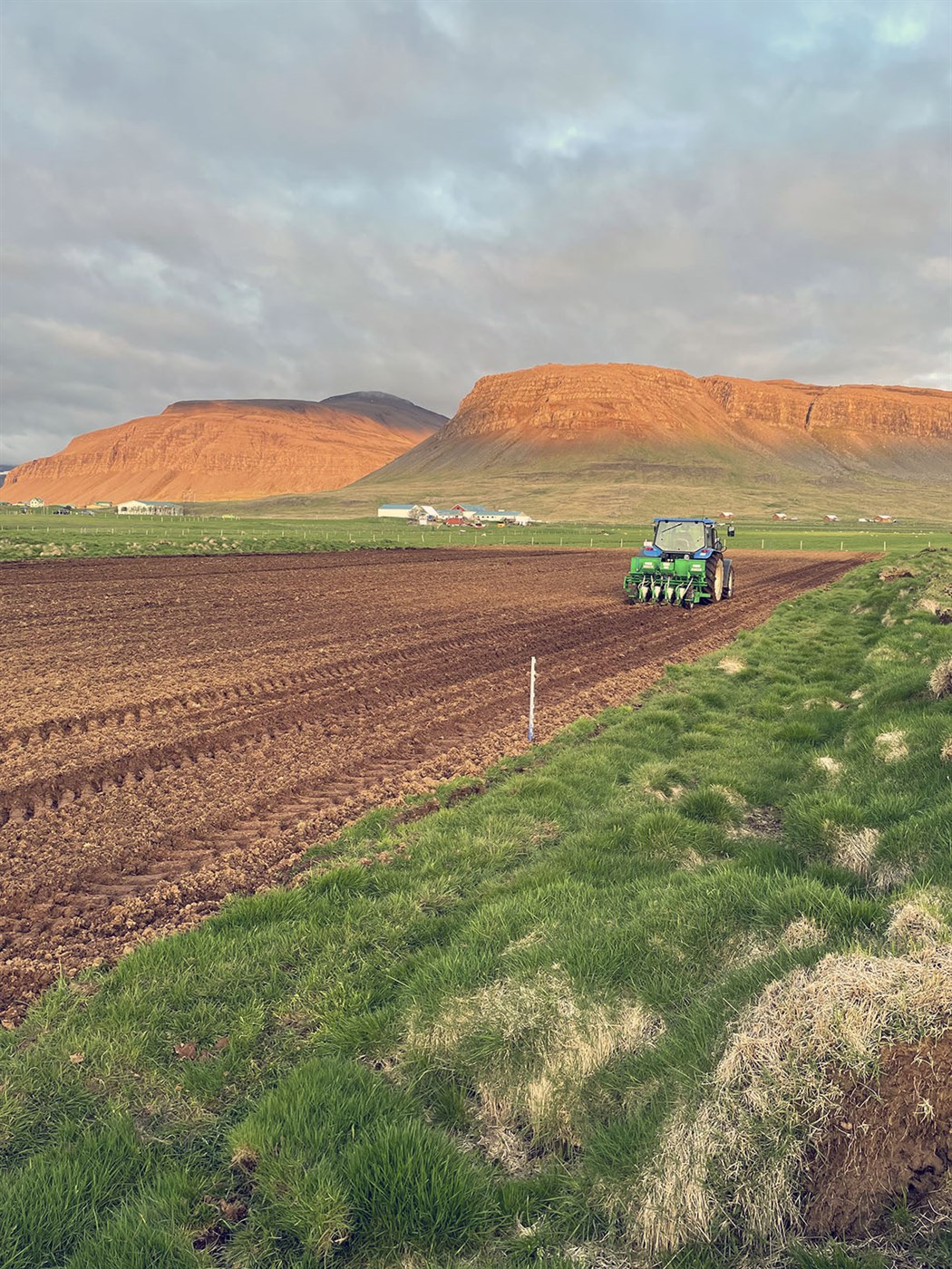 Nípuræktun í Þurranesi
