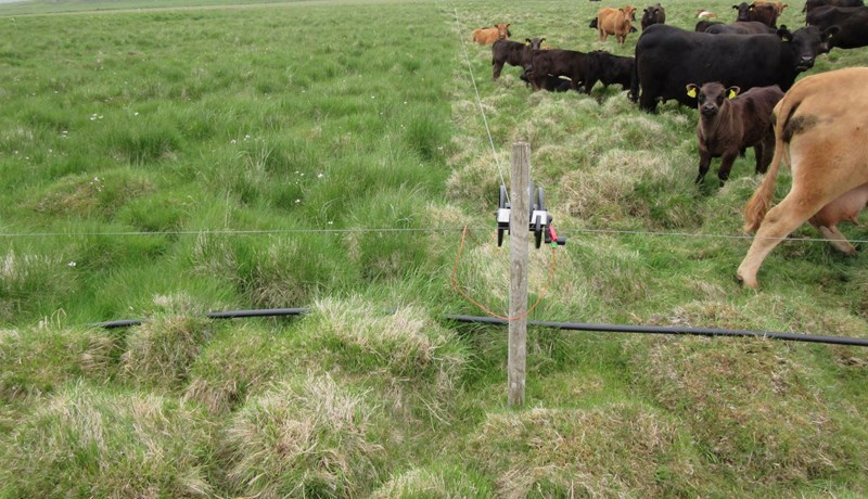 Margvíslegt hagræði með skiptibeit