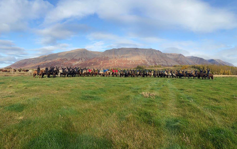 Elvar Einarsson á Syðra­Skörðugili reið með hóp af Svíum, Norðmönnum og Finnum ásamt framkvæmdanefnd síðasta heimsmeistaramóts sem haldið var í Hollandi nú í sumar.