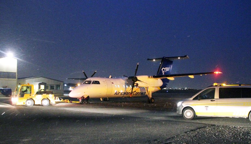 Dagsgamlir ungar komu til landsins á fyrsta farrými