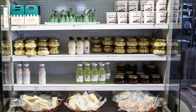 Hanna áfram formaður Beint frá býli