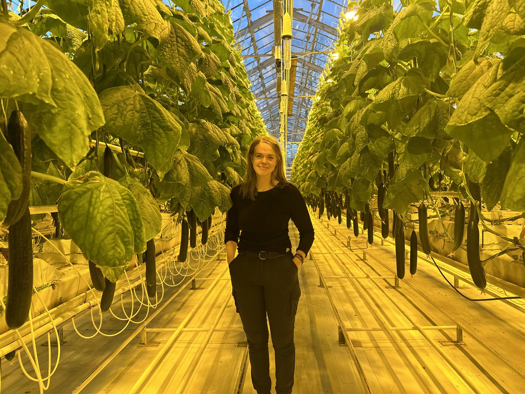 Hækkun raforkuverðs skekkir samkeppnisstöðuna