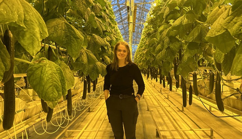 Hækkun raforkuverðs skekkir samkeppnisstöðuna