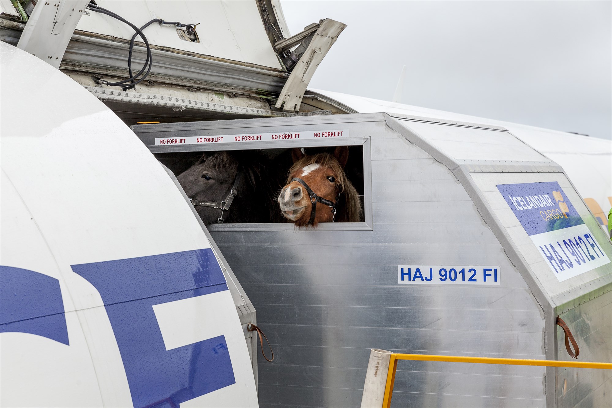 Fjöldinn yfir meðallagi og verðið hækkar