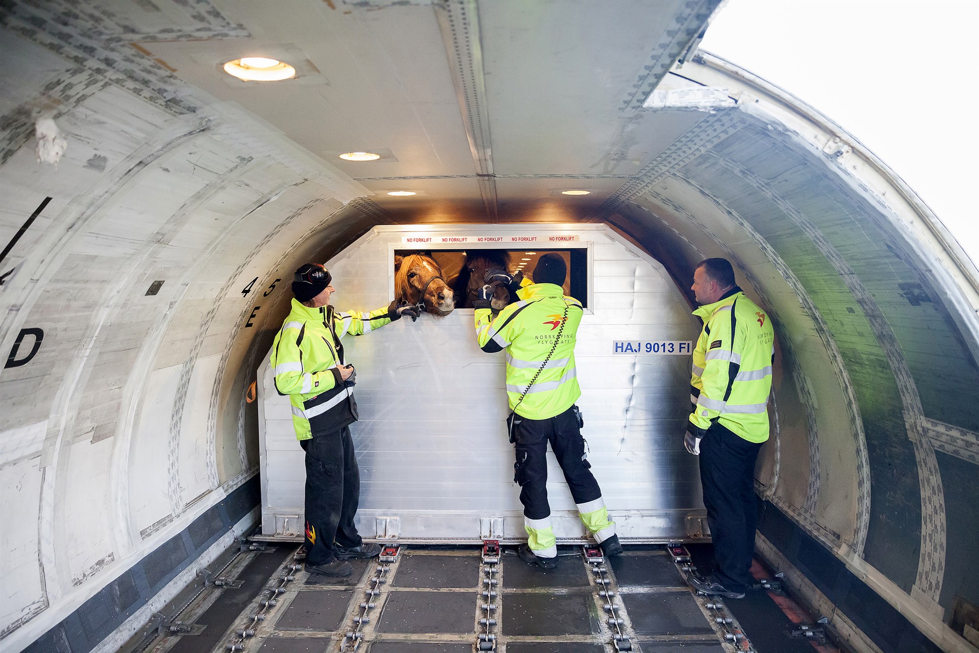 Færri hross en hærra verð