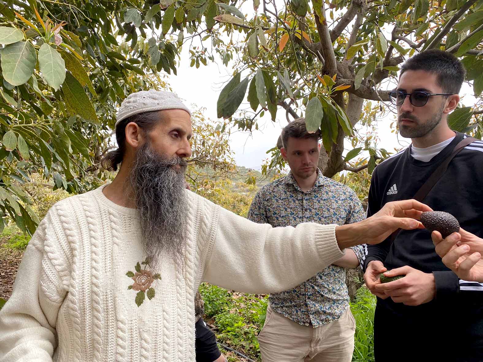 Ávextir beint frá spænskum bónda