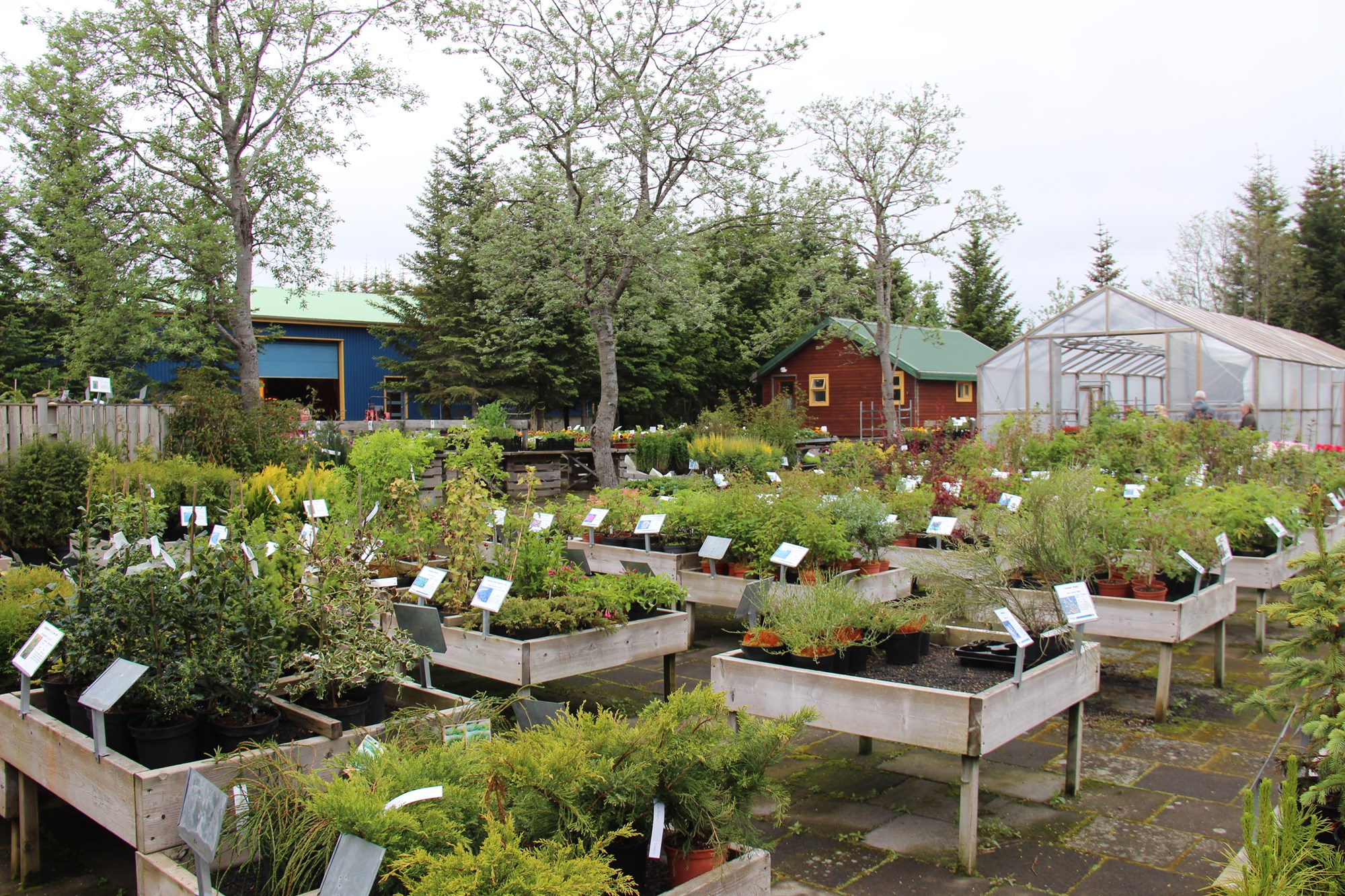 Vorið góða, grænt og hlýtt