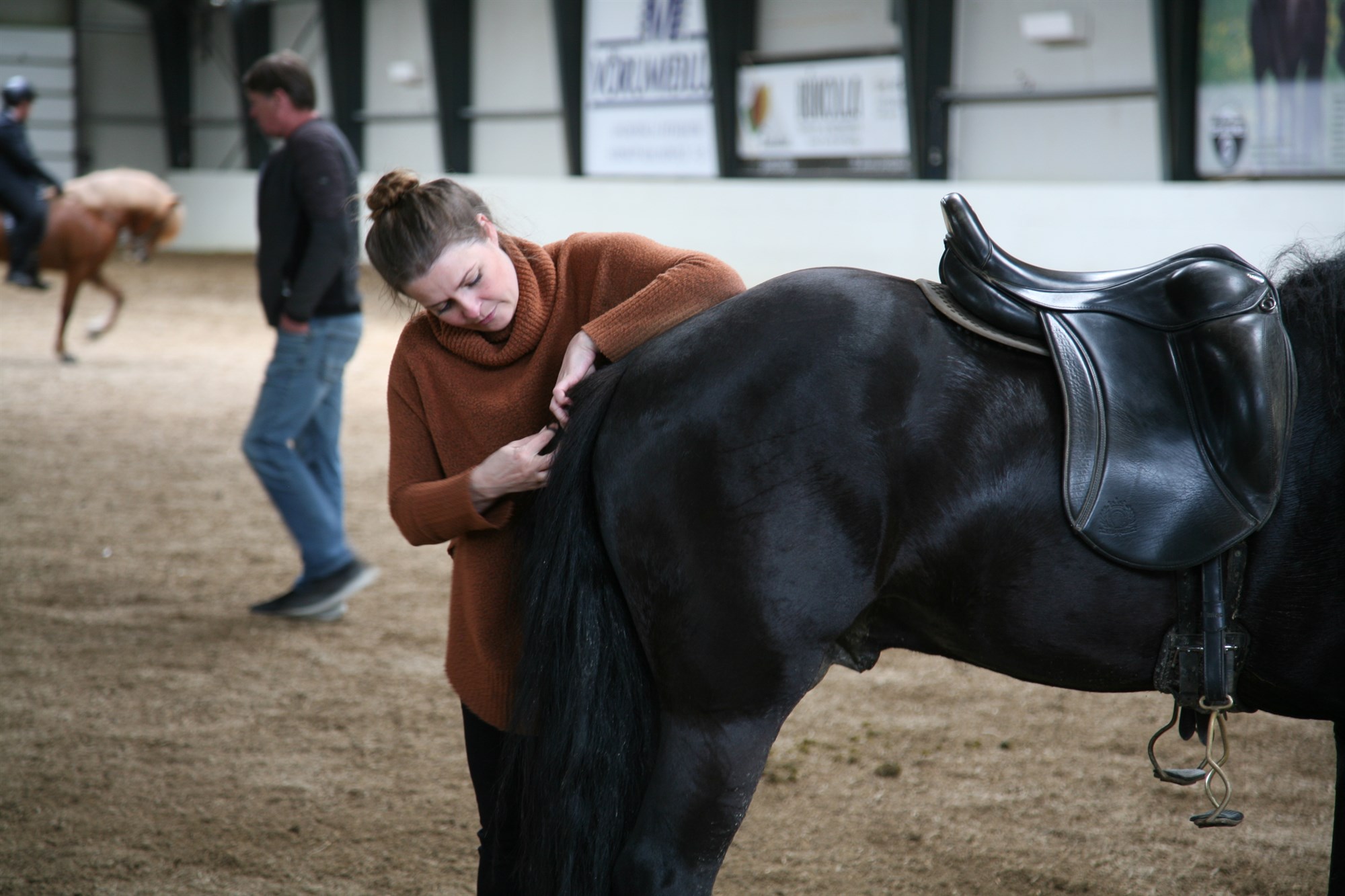 Ný gen uppgötvuð í tengslum við skeiðhæfni íslenskra hrossa