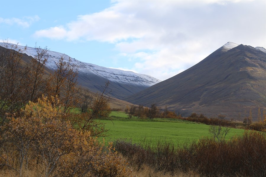 Haust í Eyjafirði. 