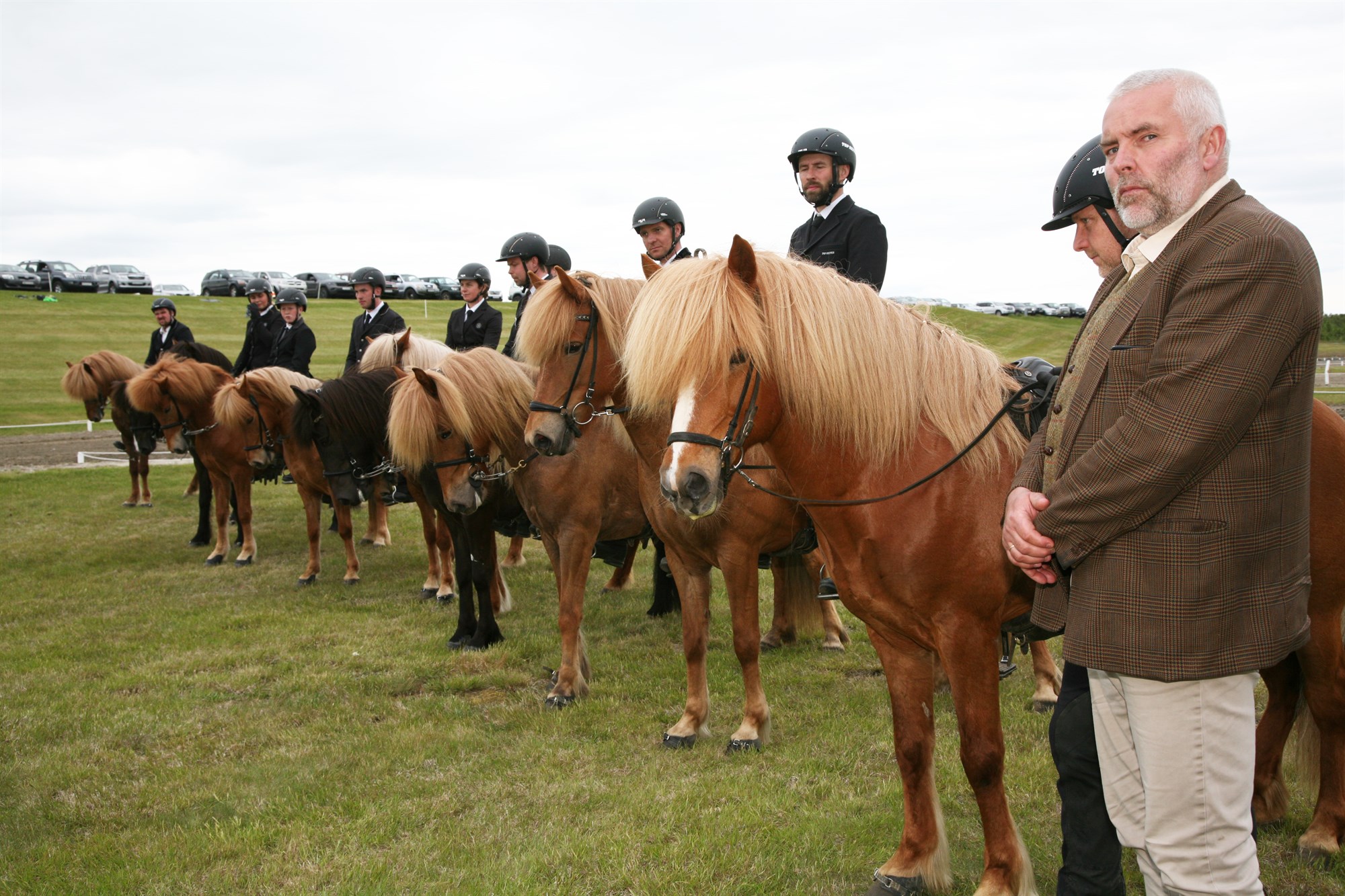 Inntökuskilyrði kynbótahrossa 
