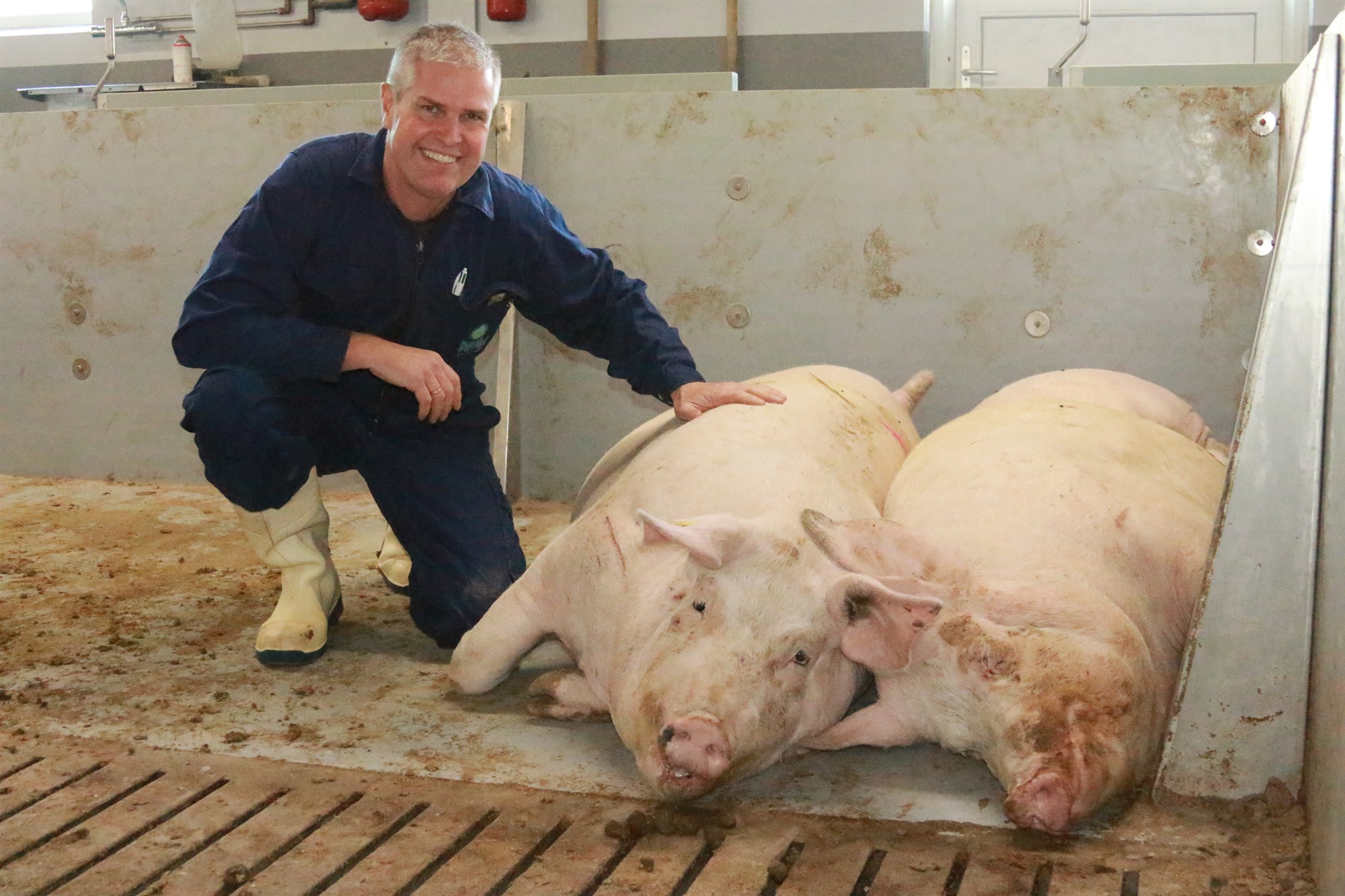 „Tollverndin er alfa og ómega fyrir okkur“