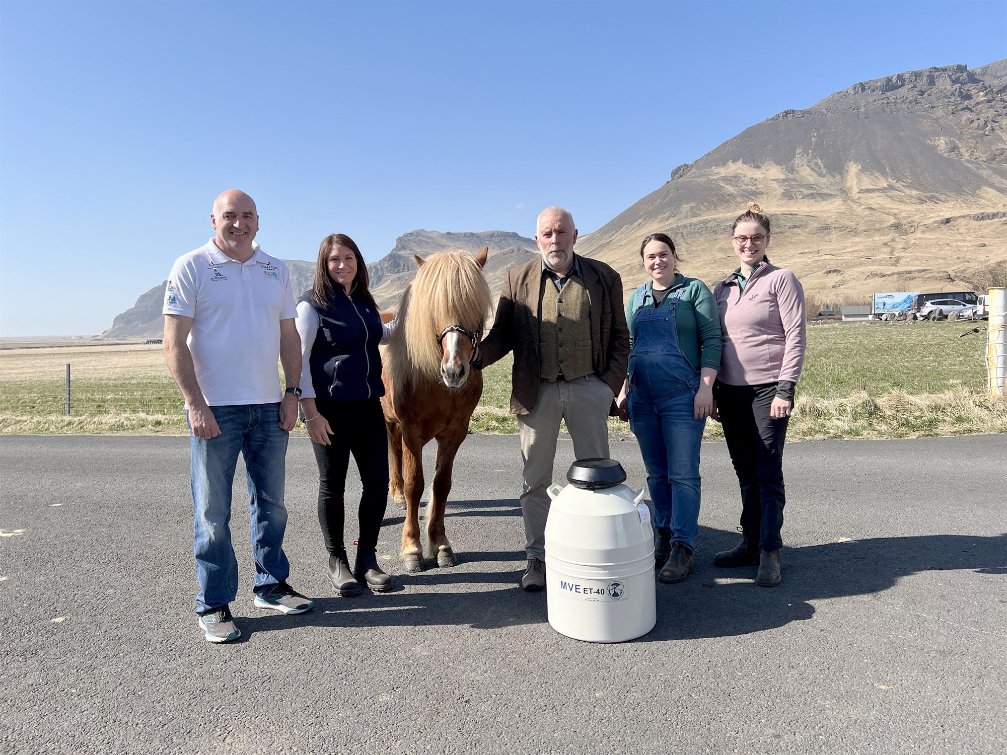 Frysta hrossasæði til notkunar hérlendis og til útflutnings