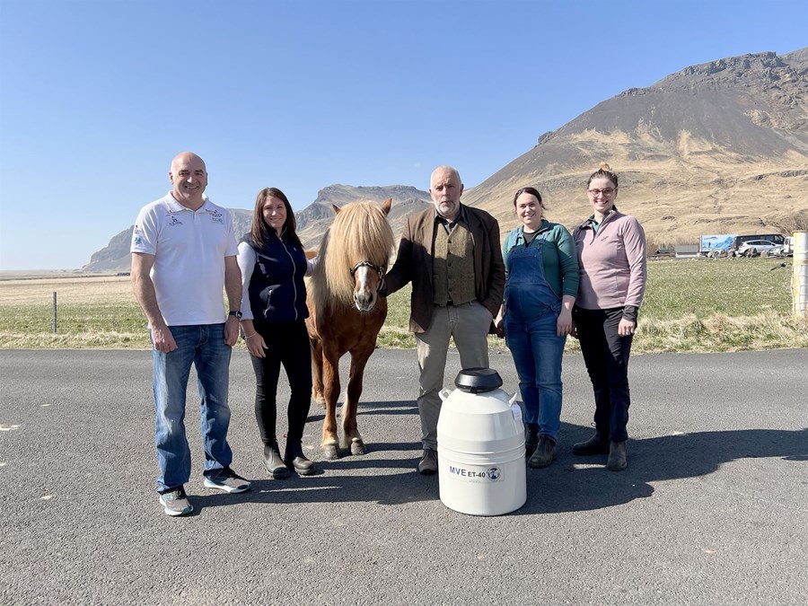 Tullis Matson, Kate Ashmore, Skýr frá Skálakoti, Guðmundur Viðarsson, Katrin Wagner, Helga Björt Bjarnadóttir og kúturinn sem geymir djúpfryst sæði.