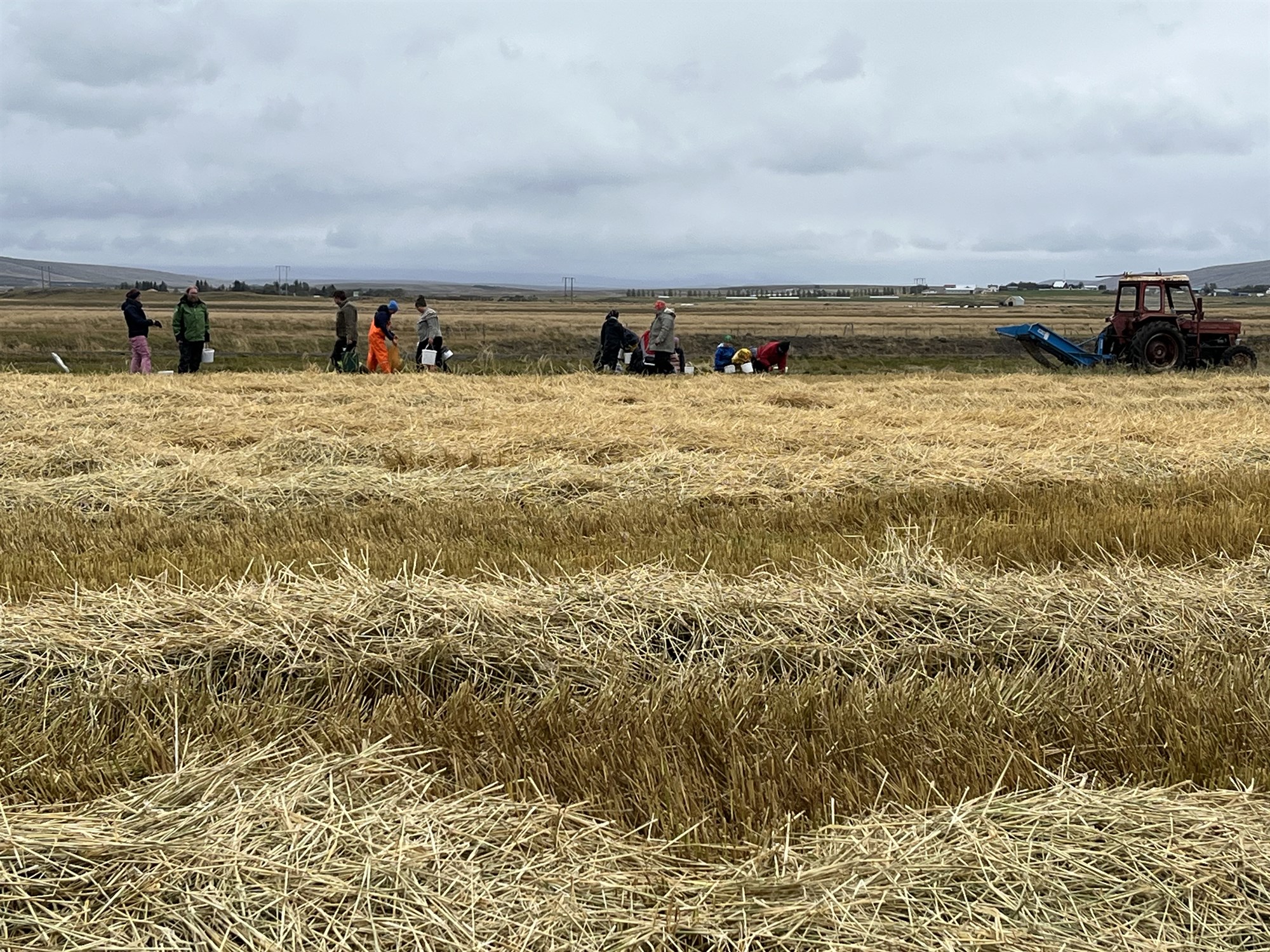 Sjálftínsla í Bæjarsveit