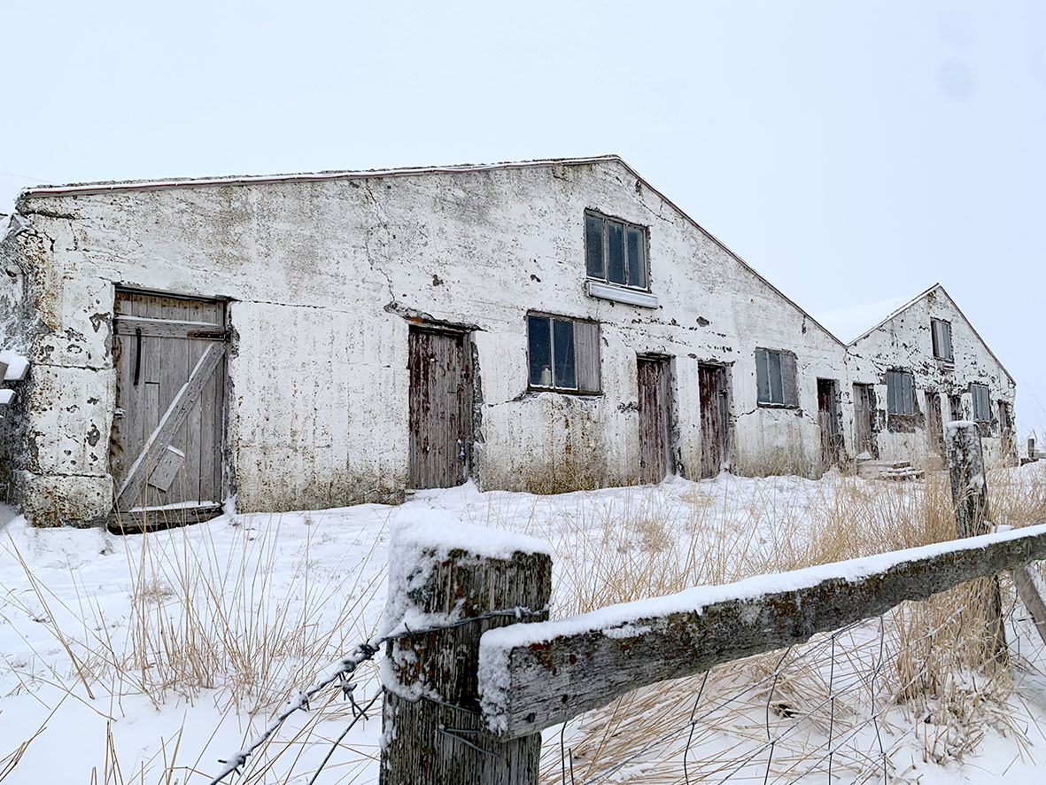 Smáspunaverksmiðja mun rísa í Dölunum