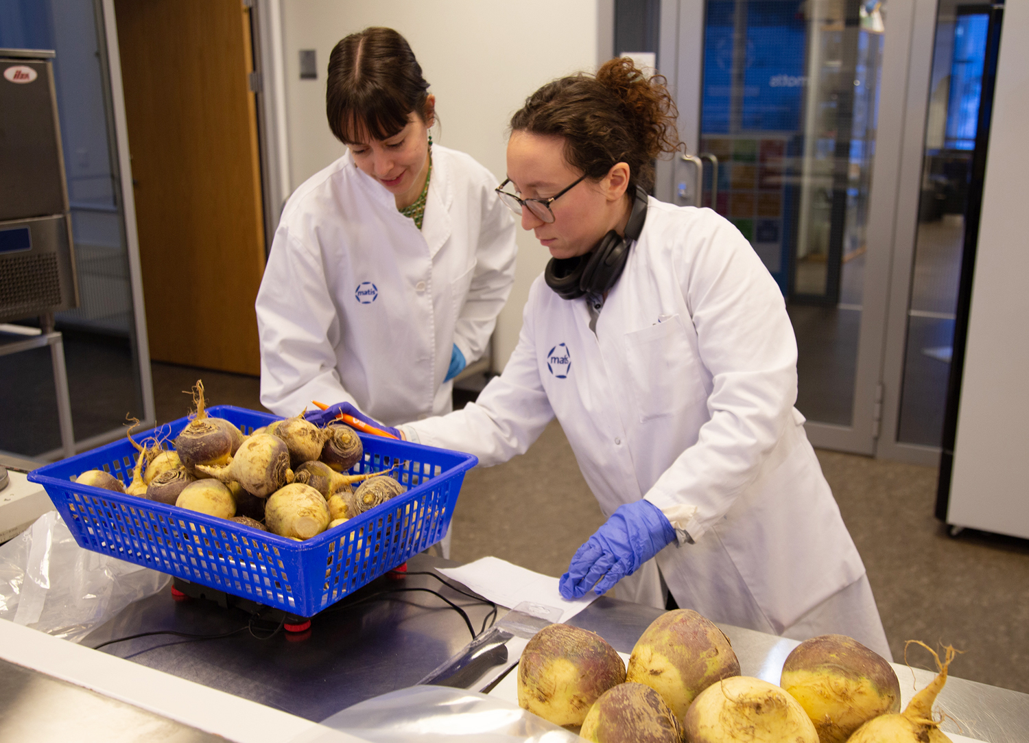 Steinefna- og próteinríkur afskurður