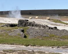 Landbótaáætlanir uppfærðar