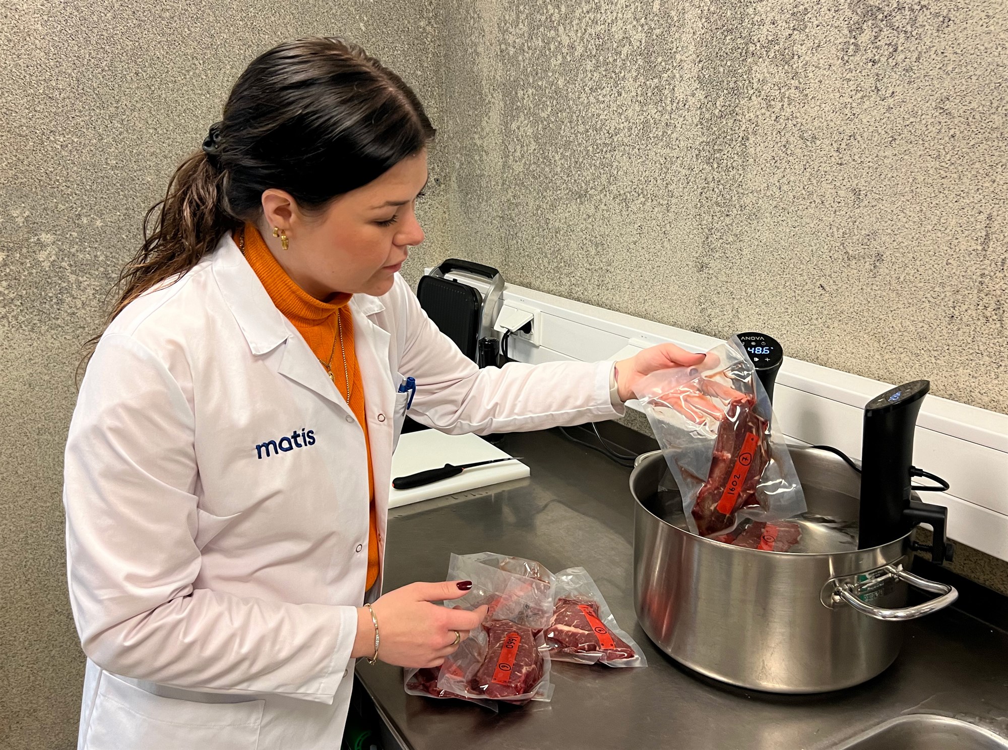 Kjöt af kornfóðruðum holdablendingum kom best út