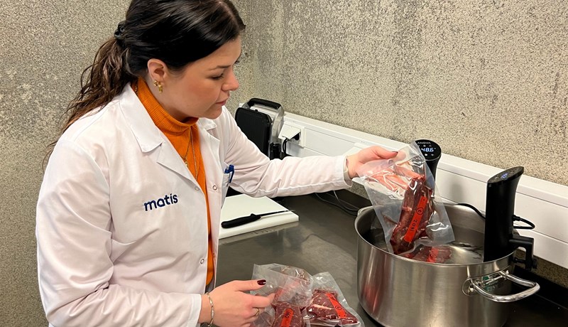 Kjöt af kornfóðruðum holdablendingum kom best út